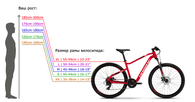 Как подобрать размер рамы велосипеда